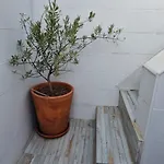 Vakantiehuis Casa Catarina Olhão